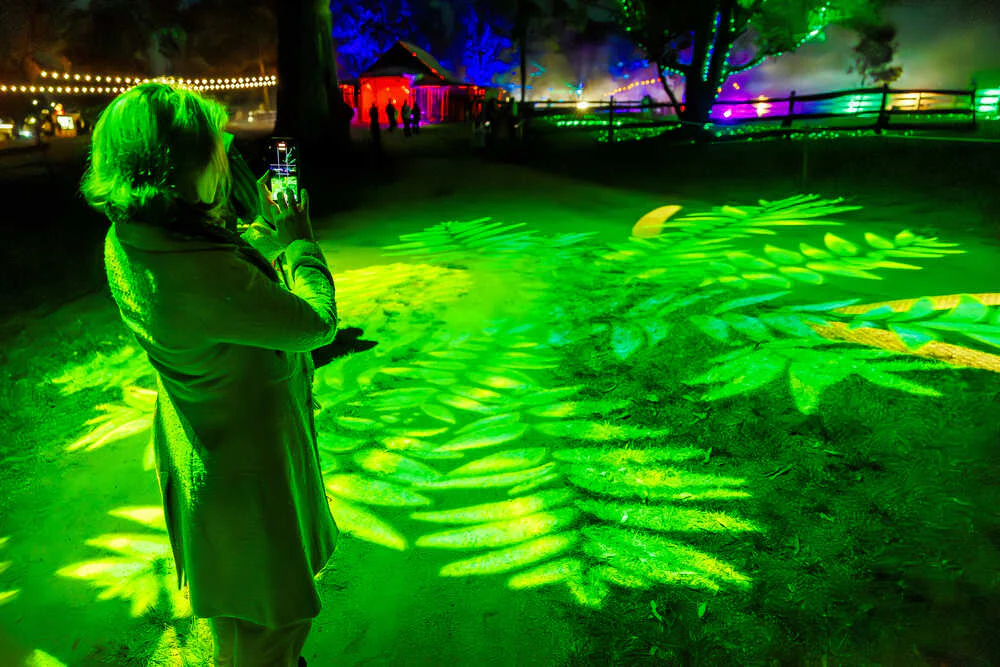 Radial beams of indigo light behind silhouetted guests
