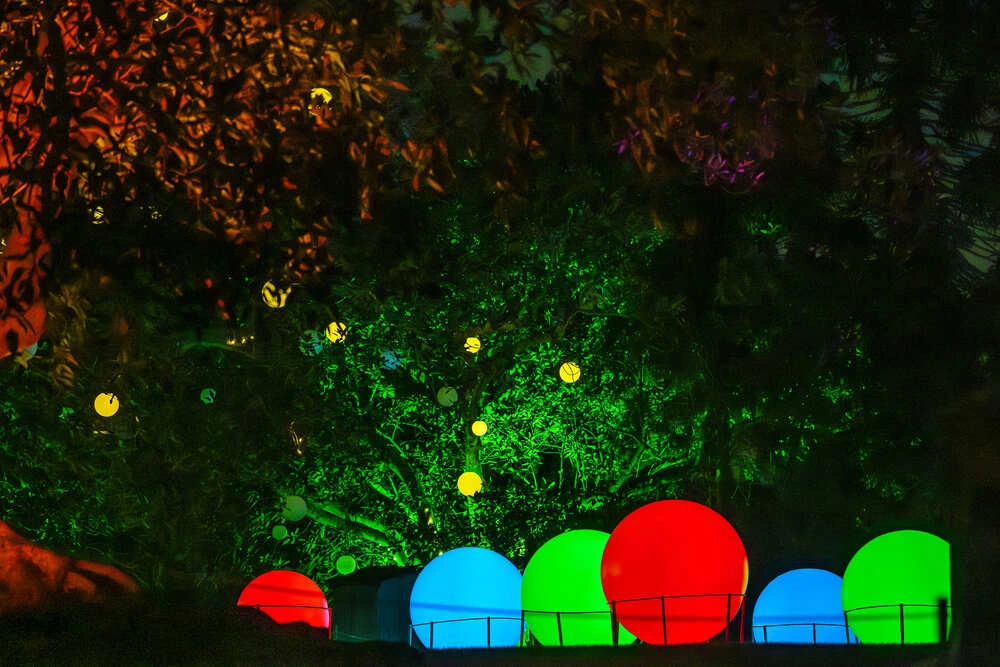 Visitors walking through a corridor of coloured light beams at Echoes