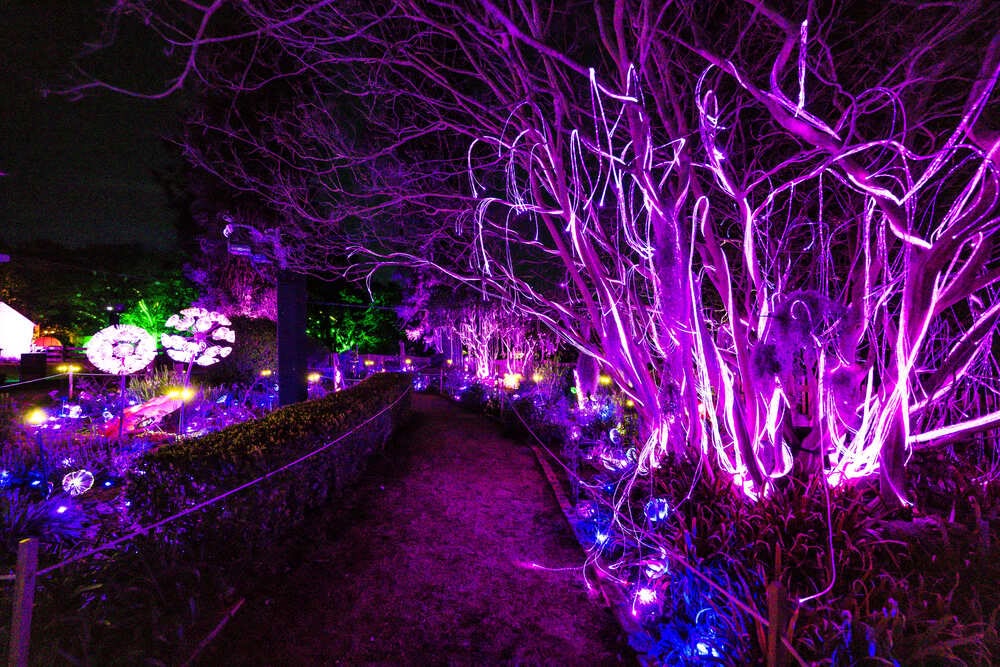 Oversized glowing flowers lighting the garden path