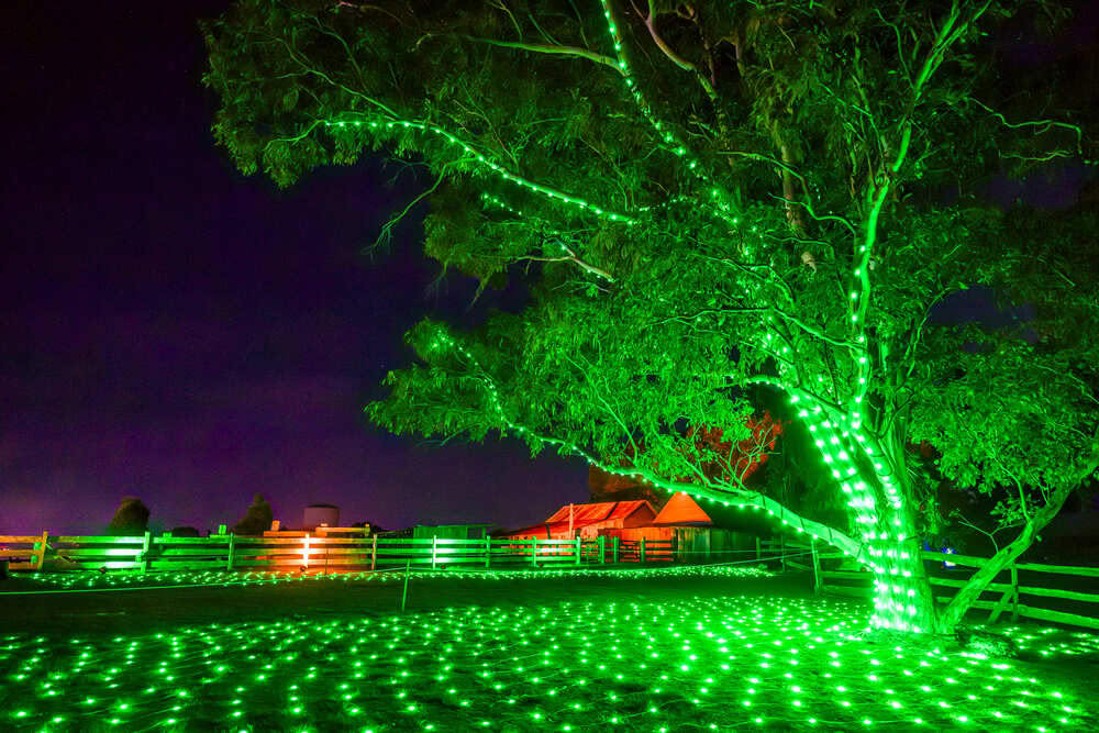 A teal arch tunnel of light with visitors walking through