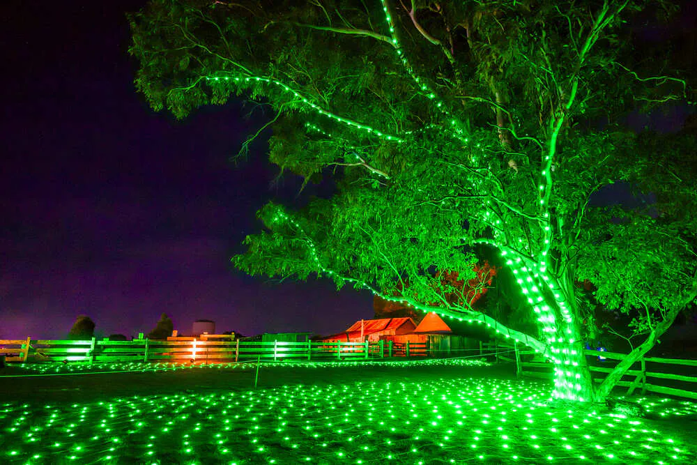 A teal arch tunnel of light with visitors walking through